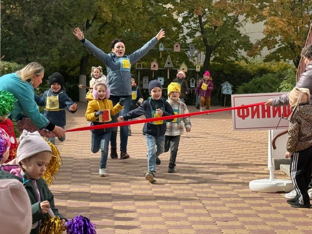 img (2)